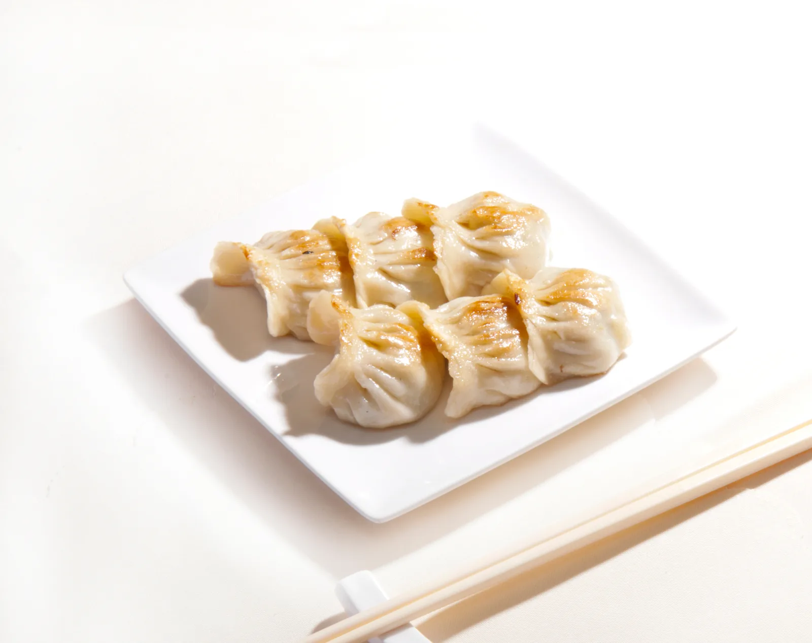 Pan-fried dumplings